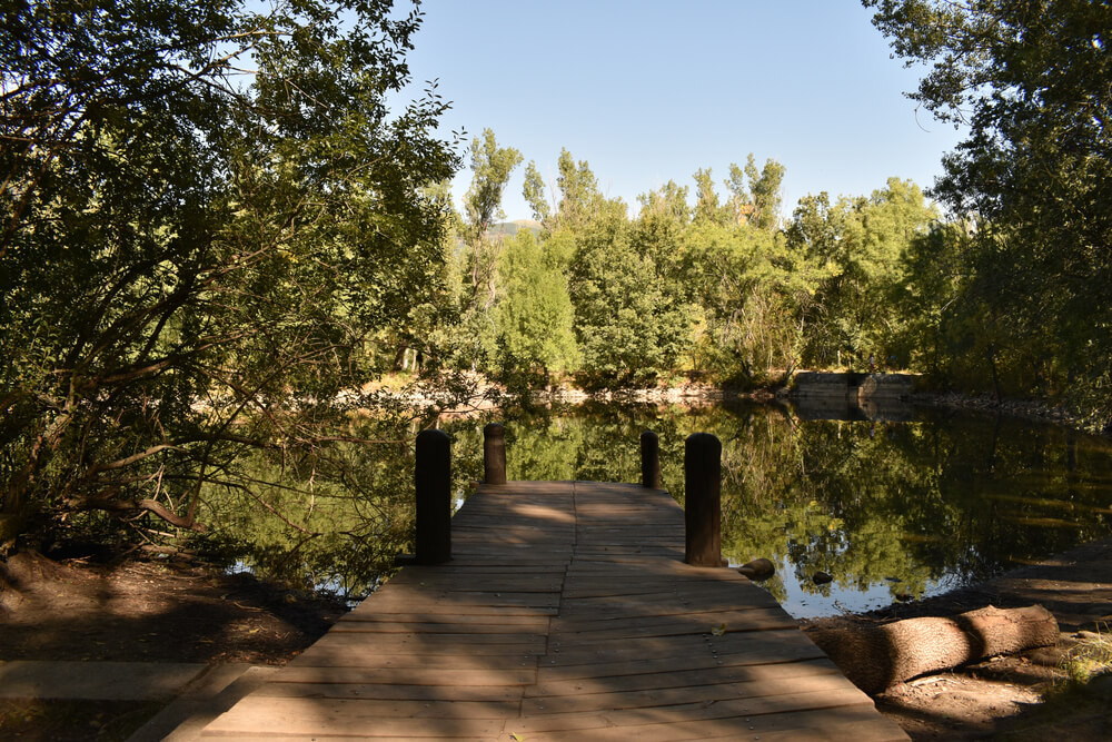 Bosque finlandés Rascafría