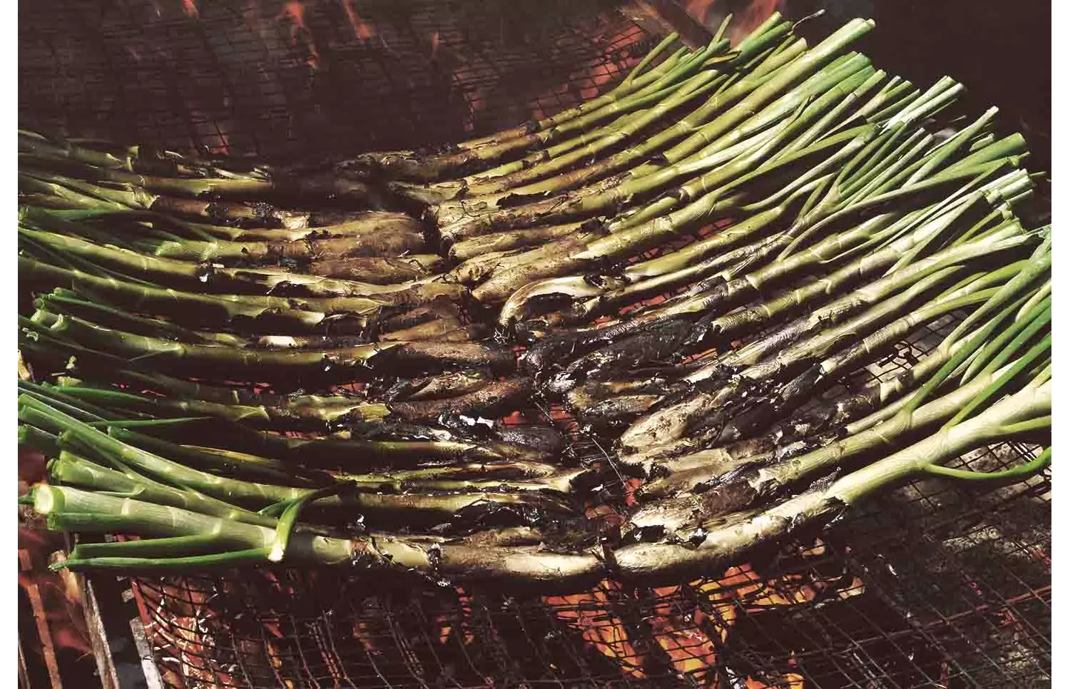 Calçotada Barcelona
