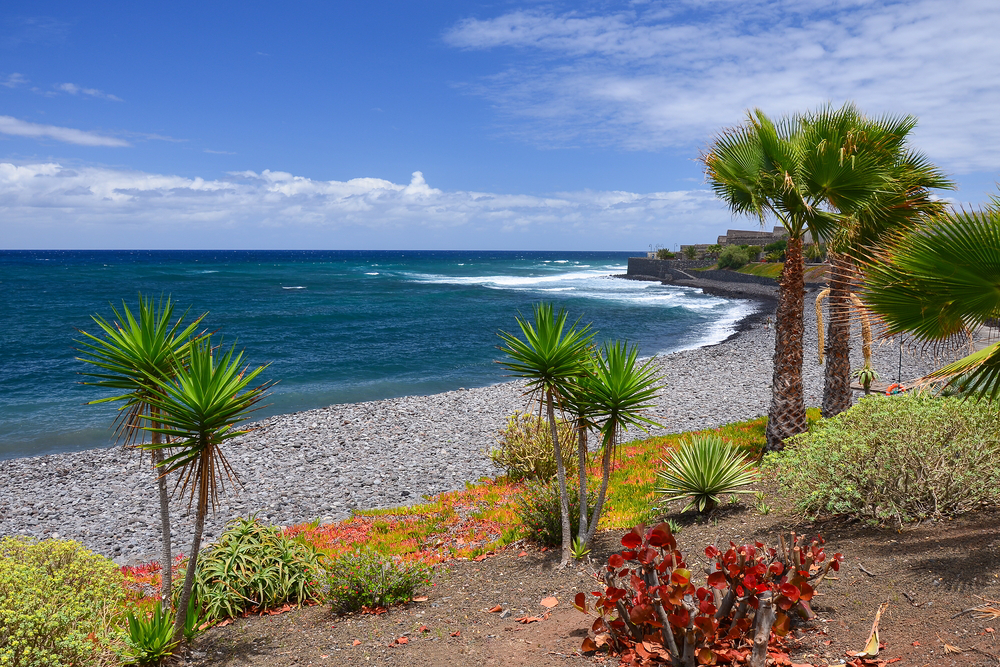 Canary Islands Christmas holidays Where to eat Xmas Dinner