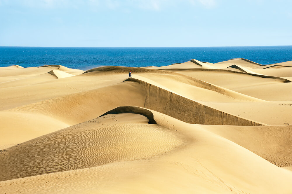 Canary Islands in February: The Maspalomas Dunes with the Ocean in the background