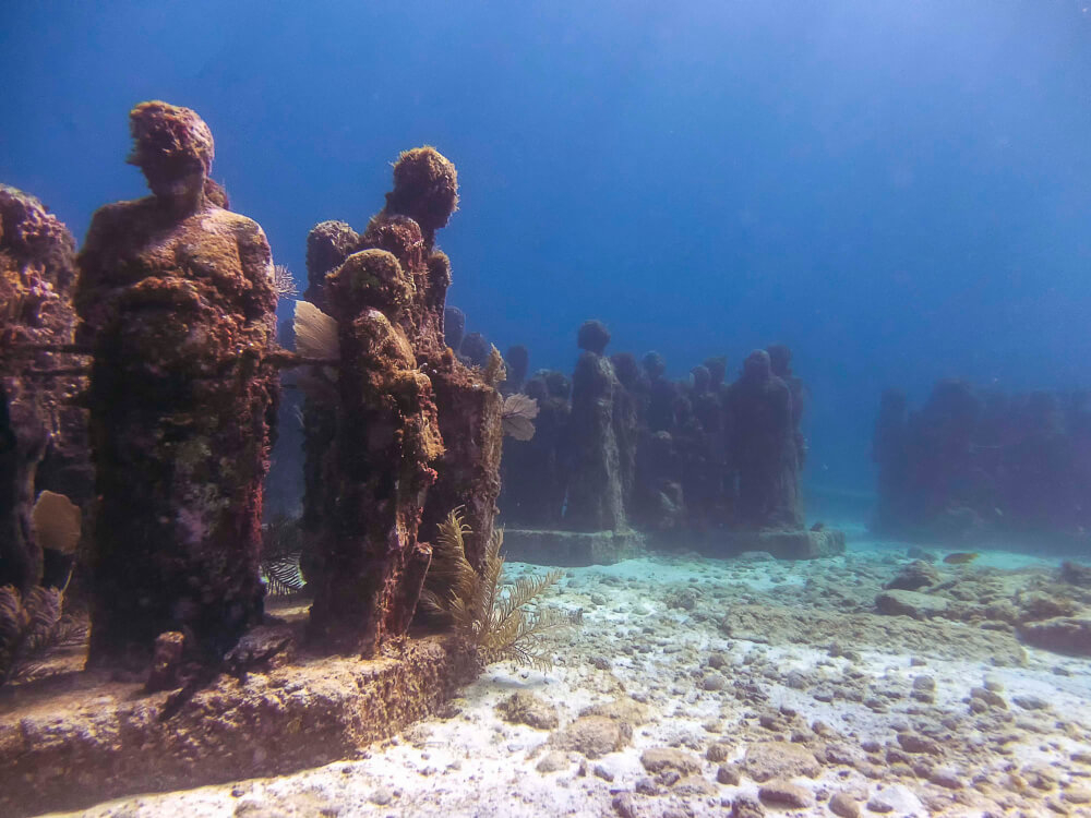 Cancún Sehenswürdigkeiten: Das Unterwassermuseum MUSA mit von Korallen bewachsenen Statuen.