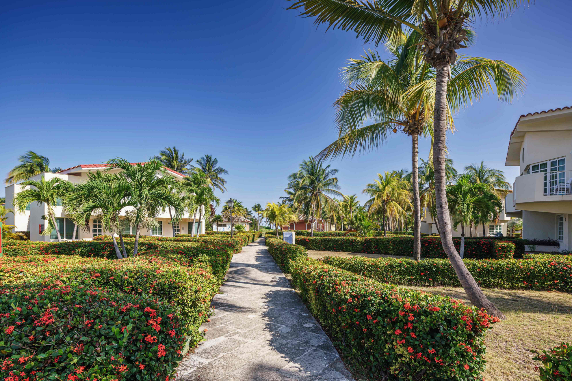 Barceló Solymar Varadero: A palm tree lined view of the hotel gardens and villas in the background