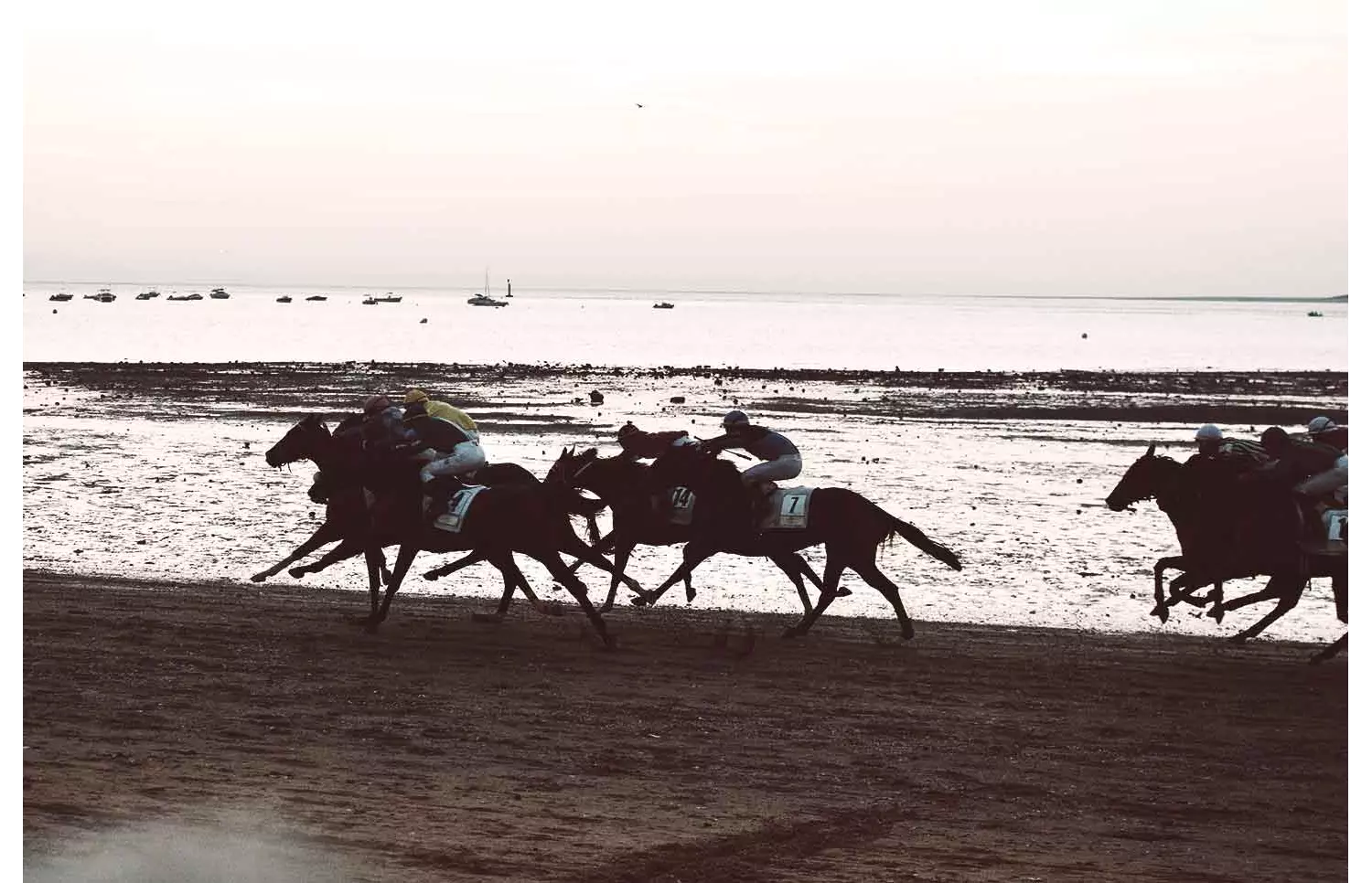 carreras-de-caballos-de-sanlucar-de-barrameda