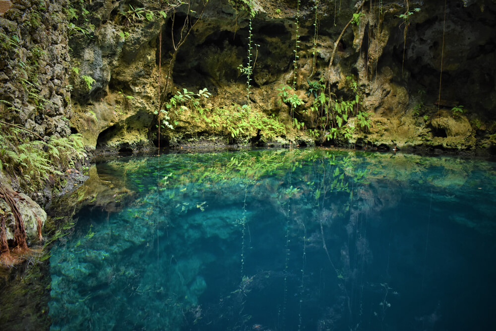 cenote zapote