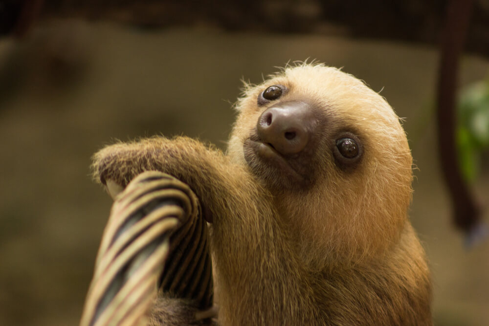 costa rica con niños