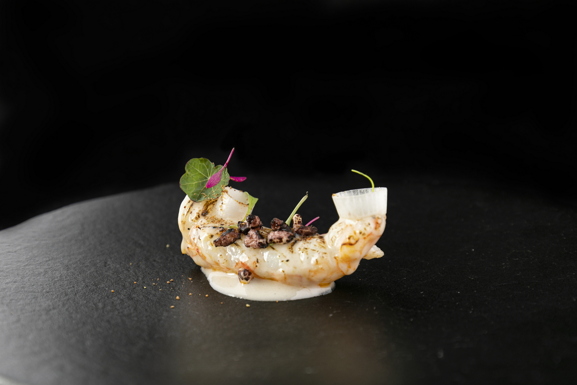 Norway lobster with white Norway lobster and sriracha