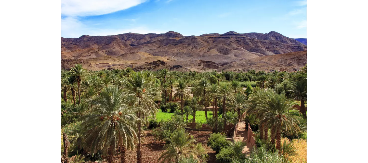 el palmeral marrakech 