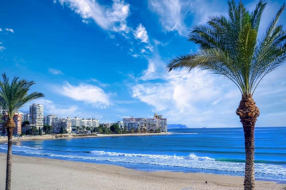 Costa Blanca Best Beaches: White sand, blue sea, two palm trees and buildings in the background