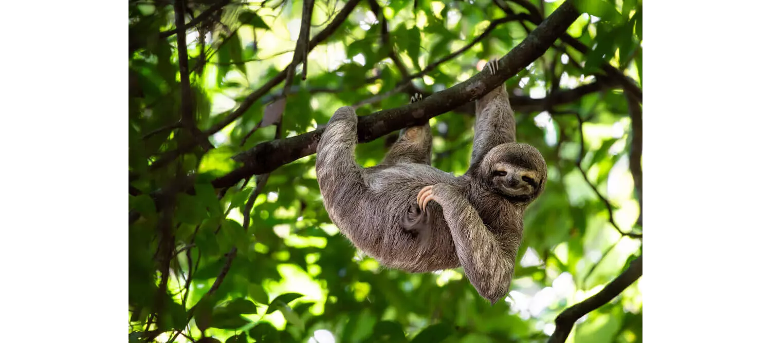 costa rica con niños