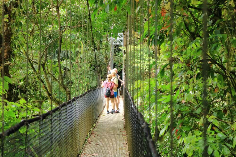 Costa Rica mit Kindern: Familie auf einer Hängebrücke im Urwald.