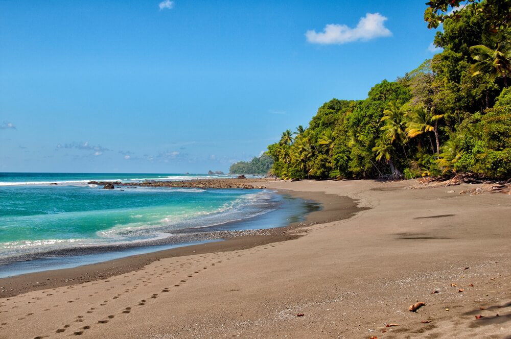 Ein Strand mit dunklem Sand und Palmen im Nationalpark Corcovado.