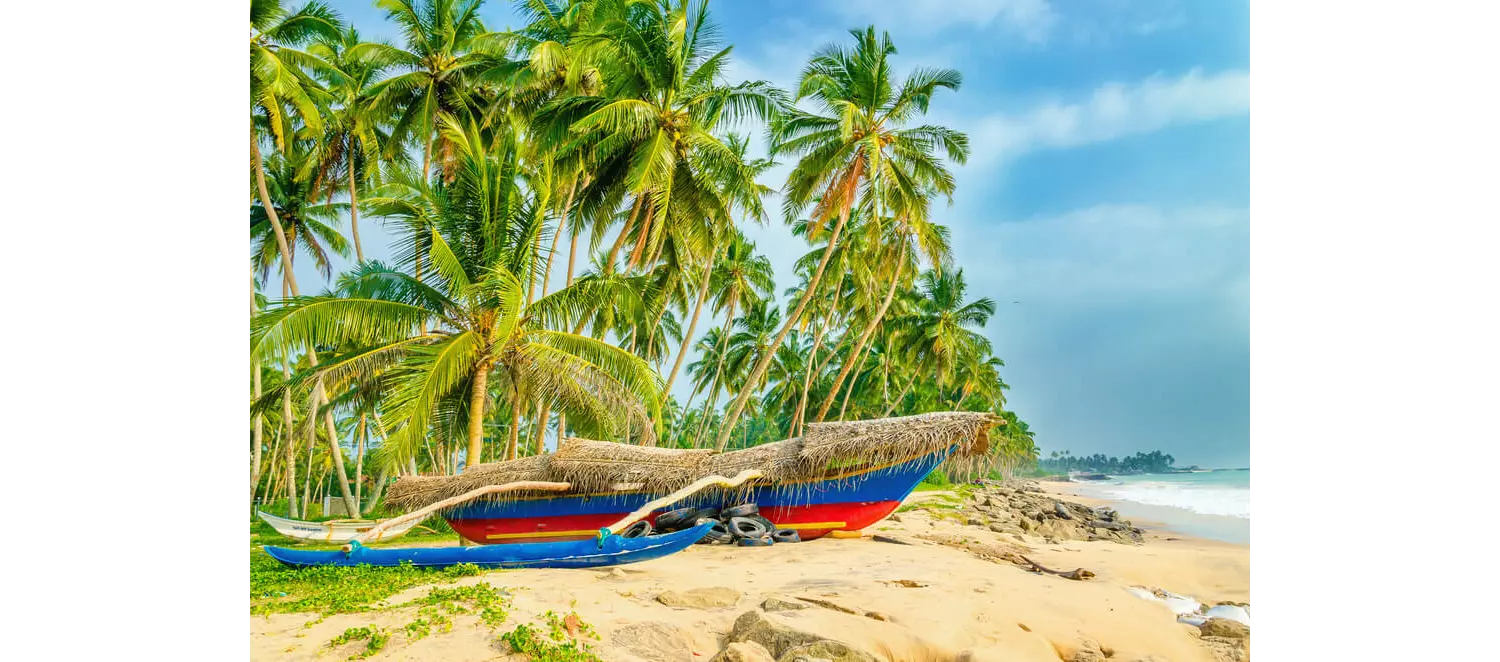 cuando viajar a sri lanka
