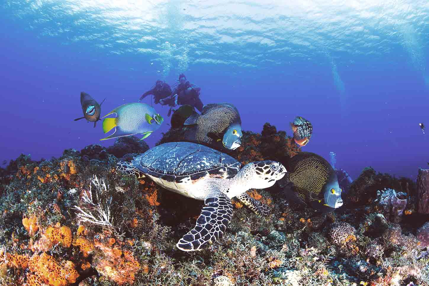 destinos-paradisiacos