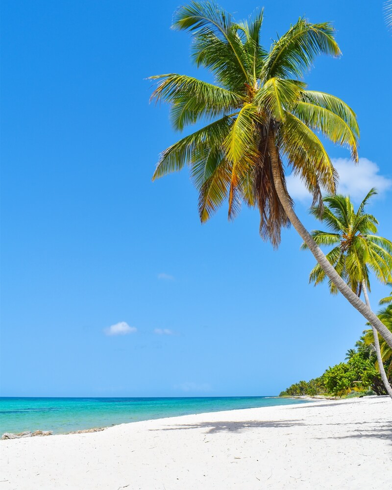 Die schönsten Strände der Dominikanischen Republik: Playa Canto de la Playa auf Isla Saona.