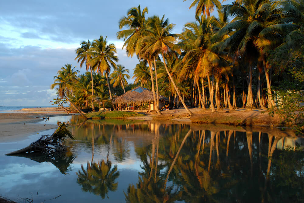 Kokospalmen und Strandbar am Playa Cosón in der Dominikanischen Republik.