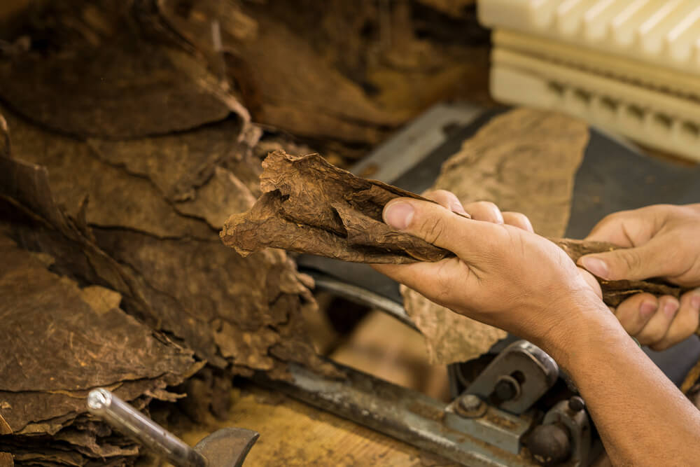 Dominican Republic cigars: Woman’s hands wrapping tobacco into cigars