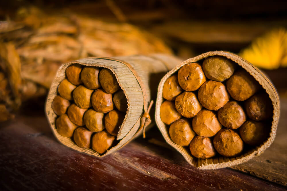 Tobacco Dominican Republic: A stack of cigars waiting to be packaged