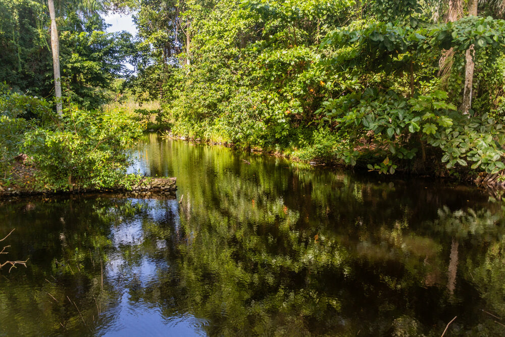 Swim in the lagoons at El Choco National Park in the Dominican Republic. 