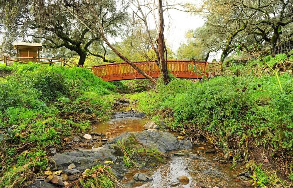 donde viajar con niños en invierno sierra