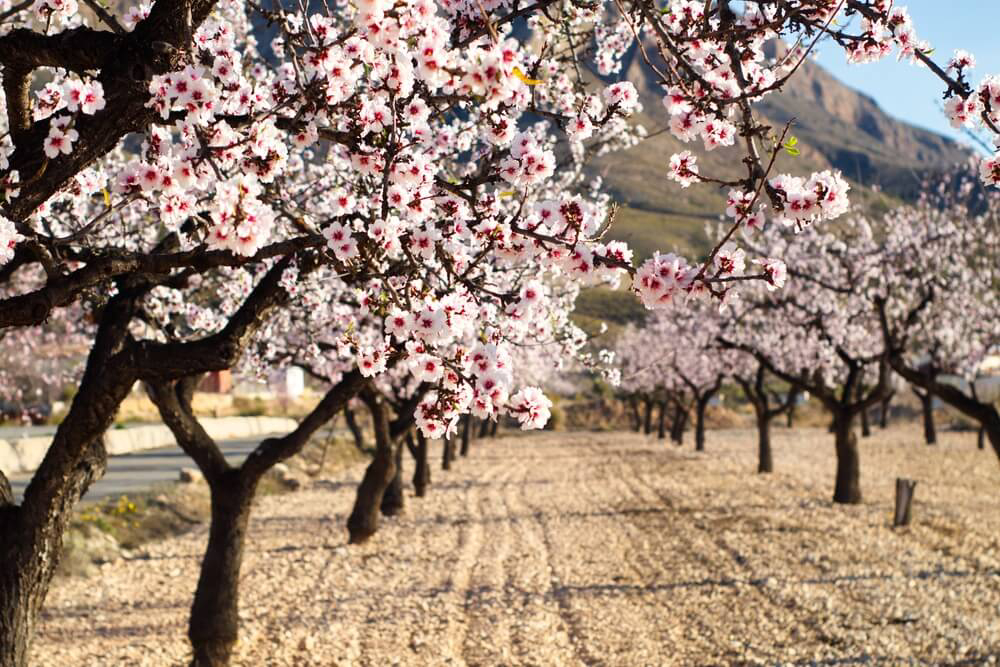 mejores destinos febrero 