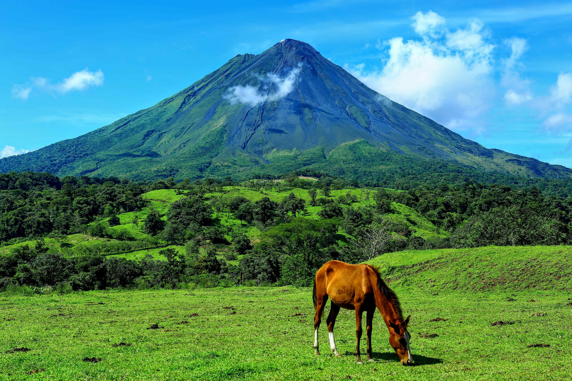 A horse grazes in front of a volcano: A picturesque view of ecotourism in Latin America.