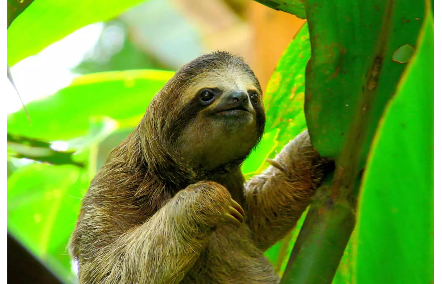 viaje a costa rica 