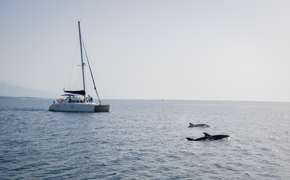 excursiones barco mallorca
