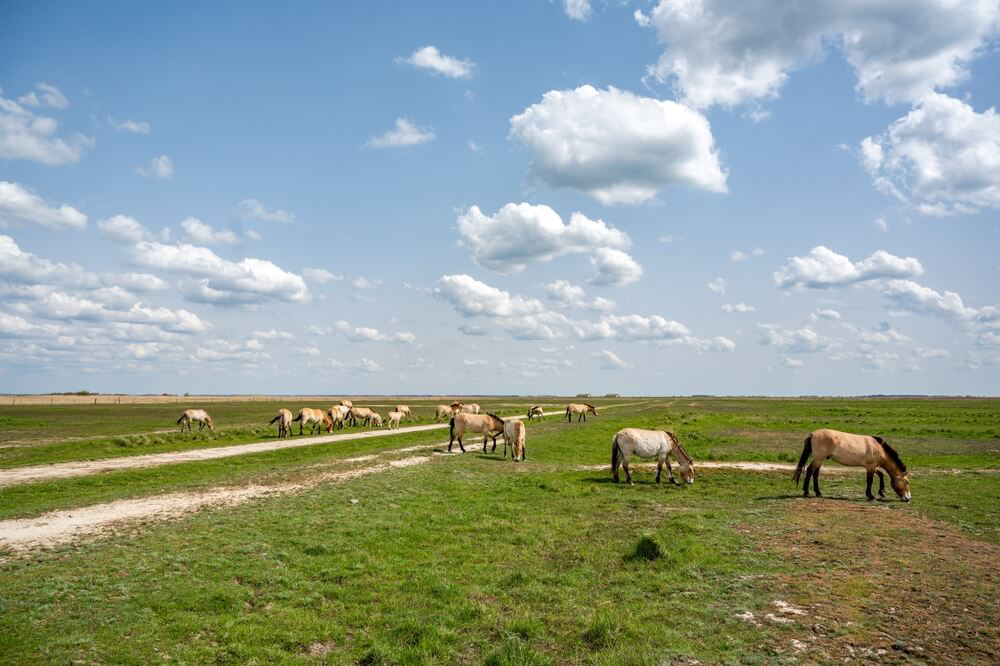 excursiones desde Budapest