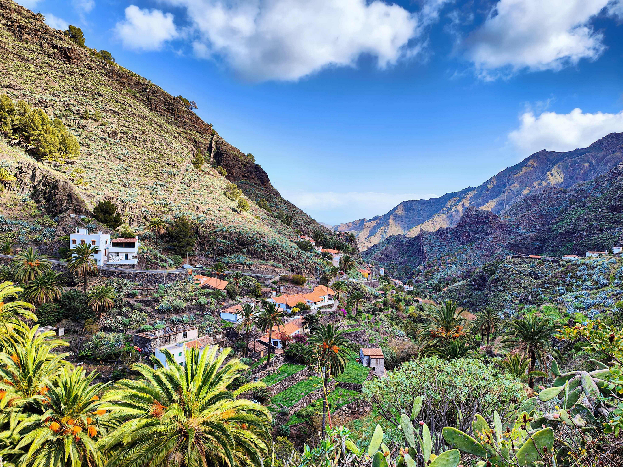 Excursión de Tenerife a La Gomera