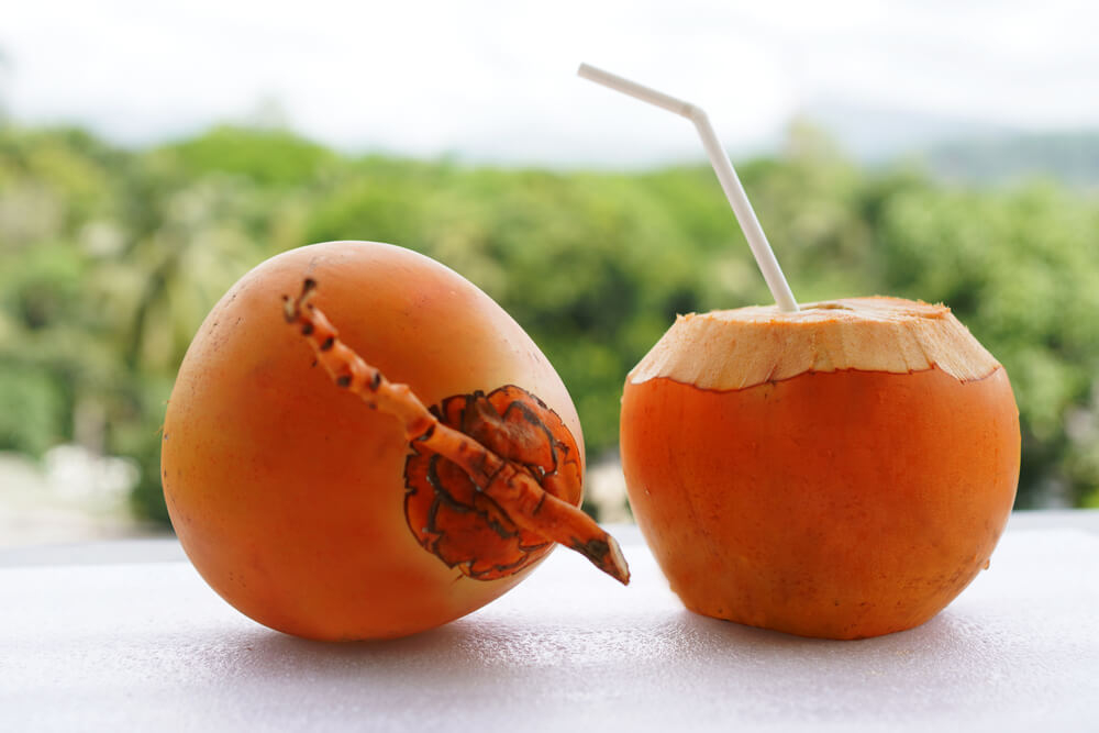 King Coconut: A white table with two orange coconuts on top