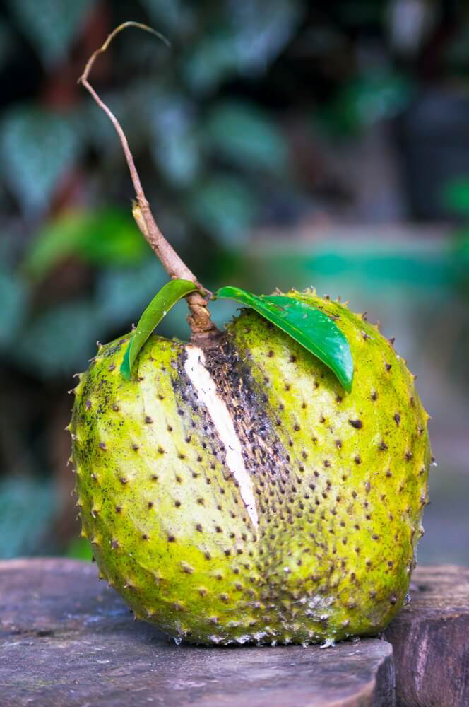 Soursop: A prickly green fruit with its stem attached, on a wooden surface