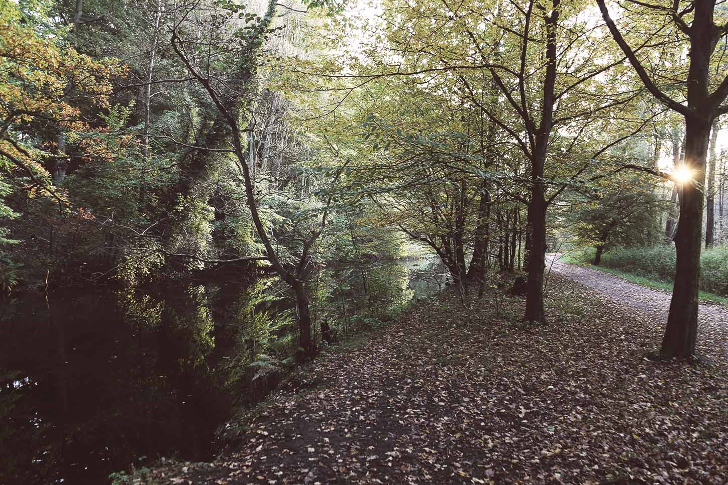 In Hamburg gibt es sehr schöne Fahrradstrecken durchs Grüne.