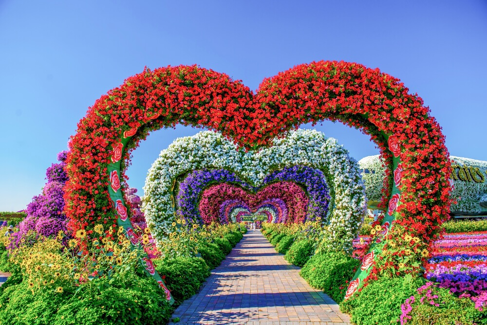 Dubai Miracle Garden: floral archways in a colourful garden