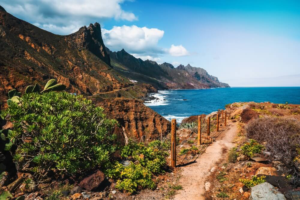 Family hiking holidays: A coastal view of a hiking path in Tenerife’s Anaga Rural Park