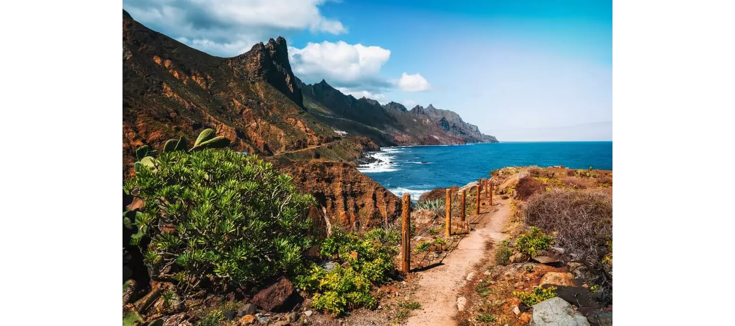 Family hiking holidays: A coastal view of a hiking path in Tenerife’s Anaga Rural Park