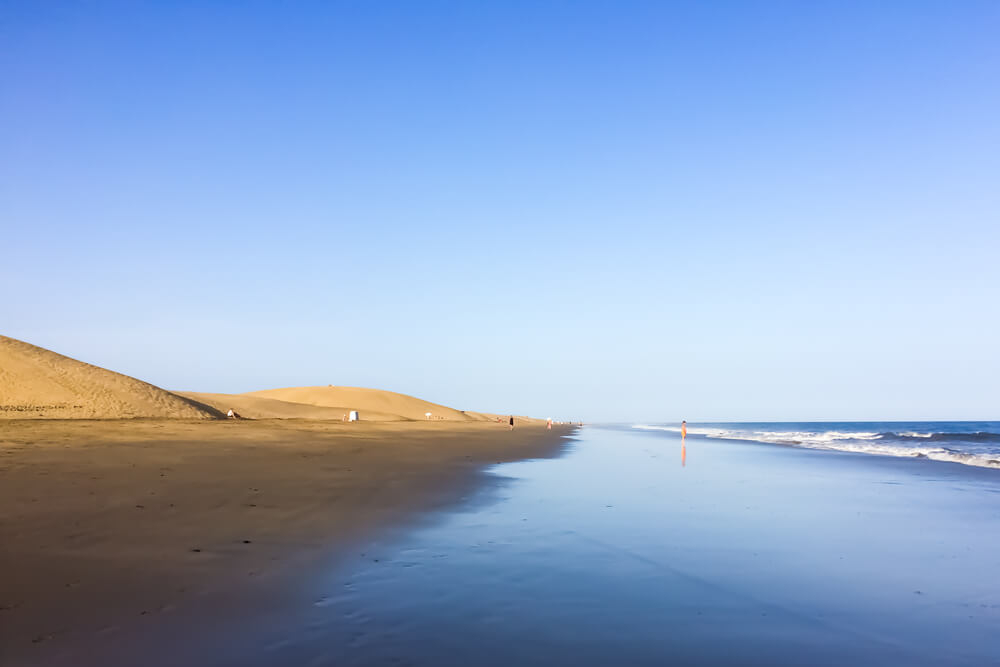 festival gay gran canaria