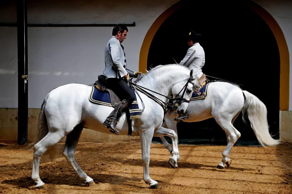 fin de semana en jerez