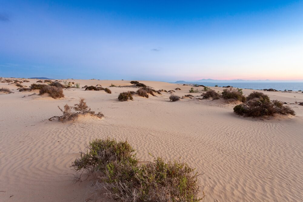 Golden sand beaches next to the Corralejo Nature Park