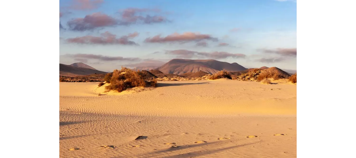 Fuerteventura family holidays: The Corralejo Dunes bathed in sunshine