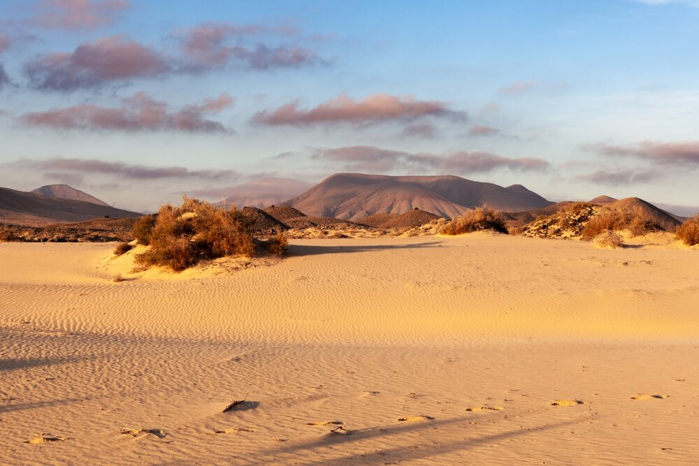 Fuerteventura-Urlaub: wüstenähnliche Landschaft mit Dünen.
