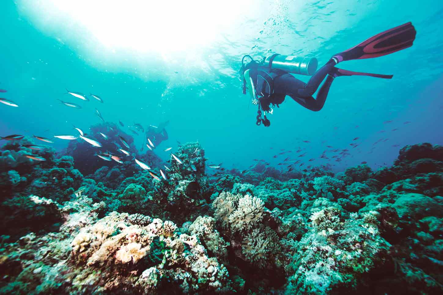 Scuba diving Gran Canaria means you can explore the underwater world