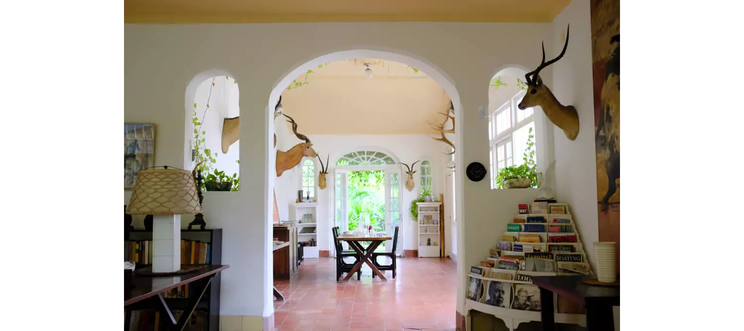 Finca Vigía: whitewashed living room with hunting trophies and magazines with garden views