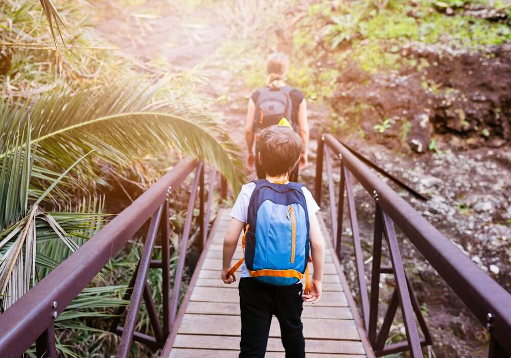 Holiday destinations with baby: Hiking in Tenerife’s forests with a child