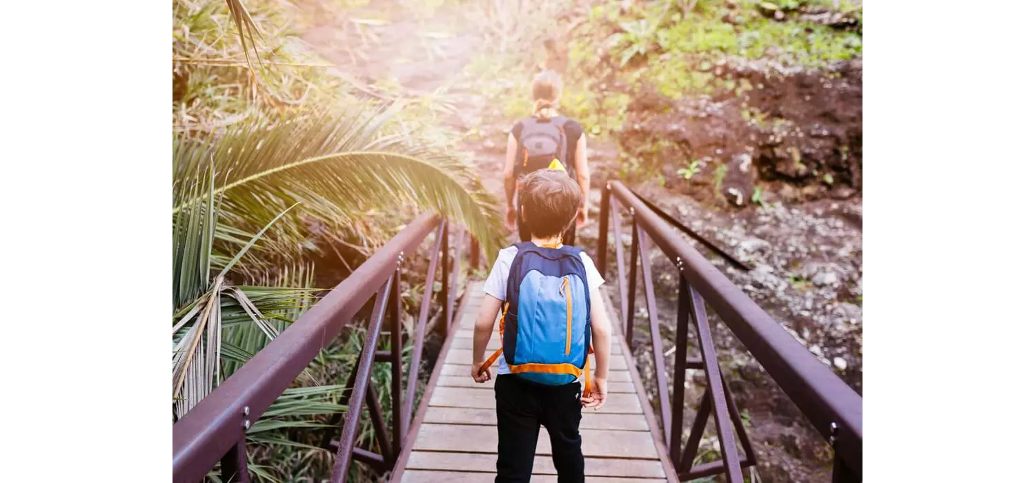 Holiday destinations with baby: Hiking in Tenerife’s forests with a child