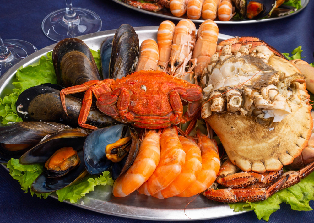 Holidays in Galicia: A close-up of a plate of seafood