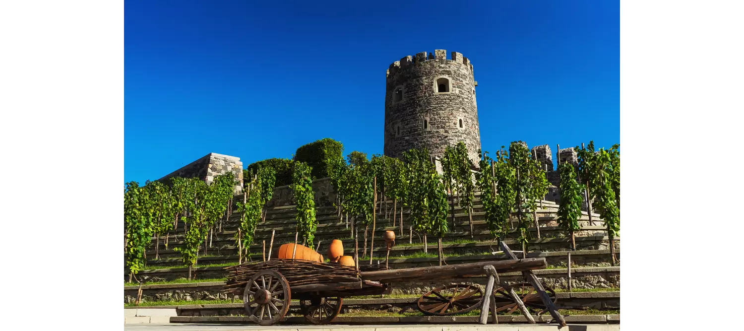 Vineyards: Traditional winery in Akhaltsikhe Georgia