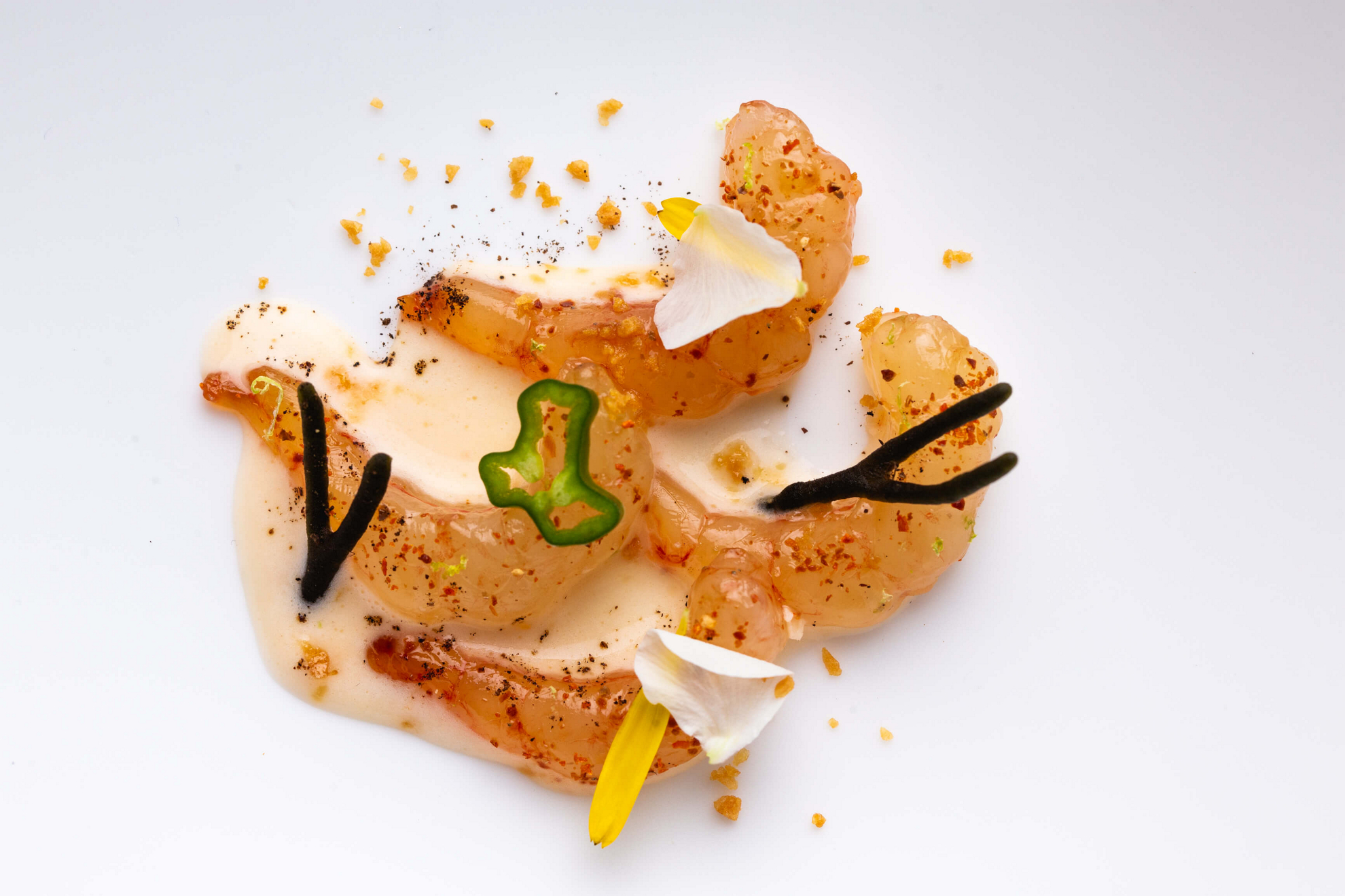 El Rincón de Juan Carlos: A white plate with prawns in a creamy sauce
