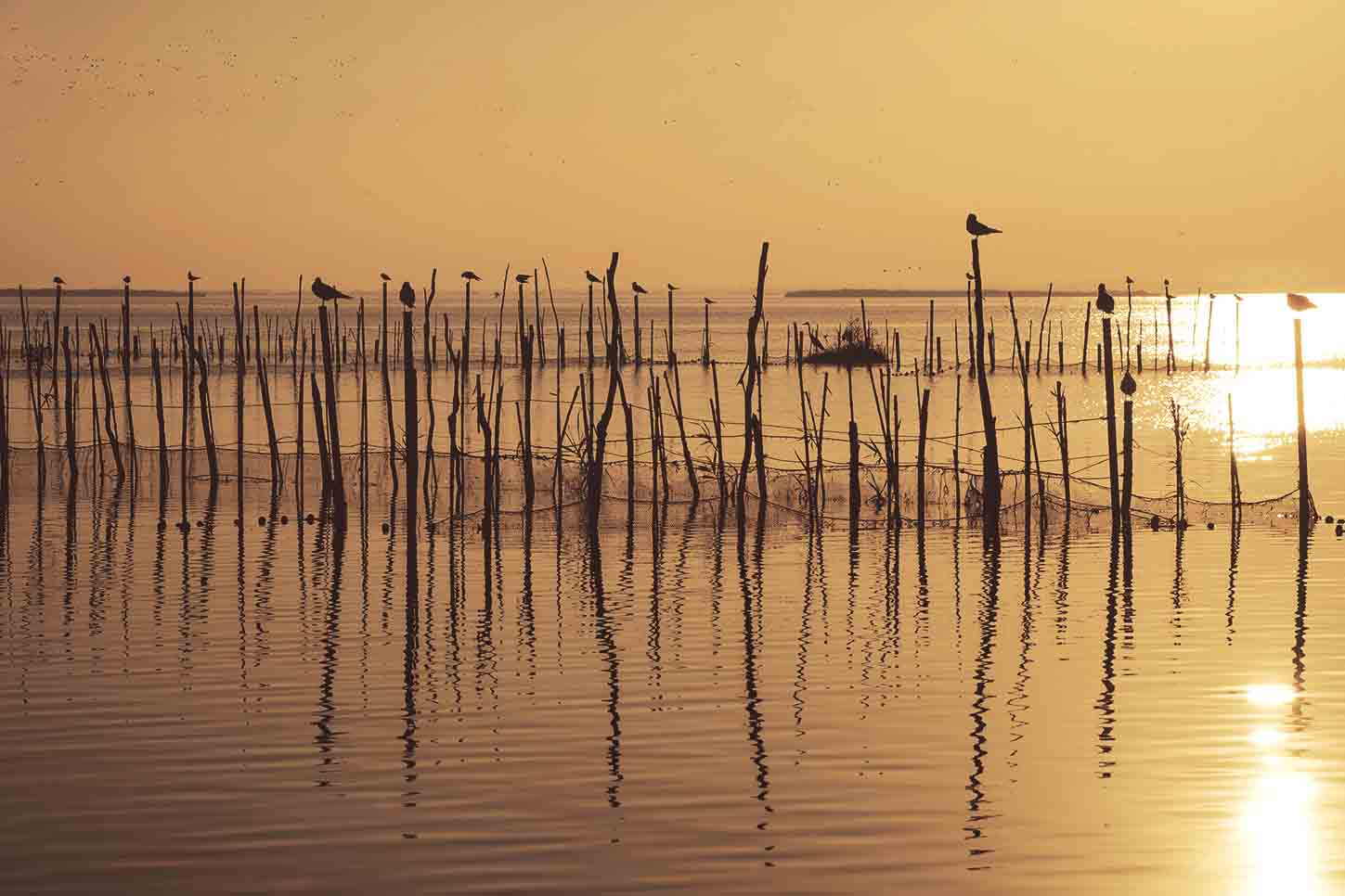 Humedales en España