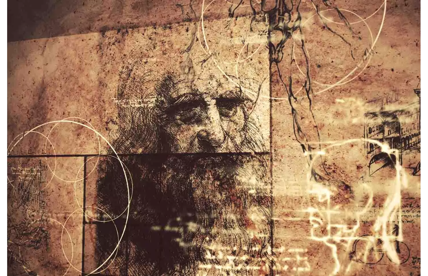 imagenes-de-leonardo-da-vinci