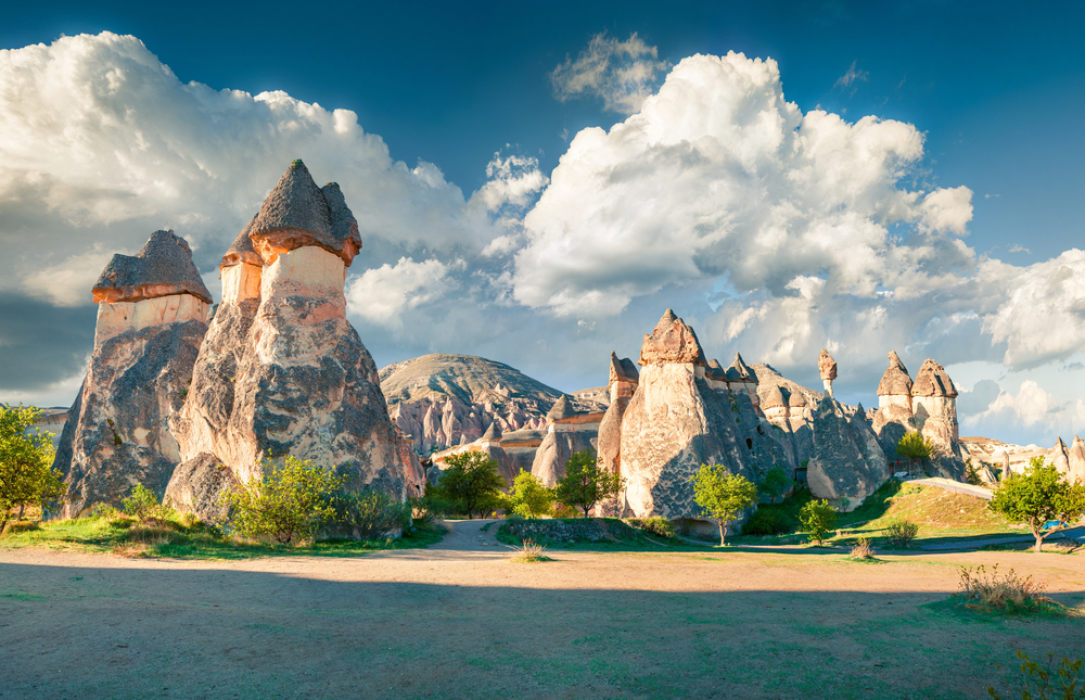 Cappadocia: A close up of the fairy forest rock formations in Turjey